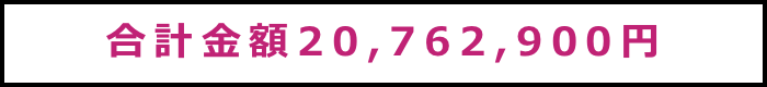 合計金額20,762,900円