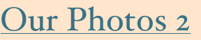shapeimage_33_link_0