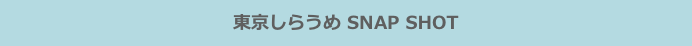 東京しらうめ SNAP SHOT